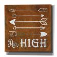 Aim High  by Britt Hallowell, Canvas Wall Art For Sale