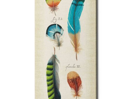 Ornithology IV Panel  by Daphne Brissonet, Canvas Wall Art Online now