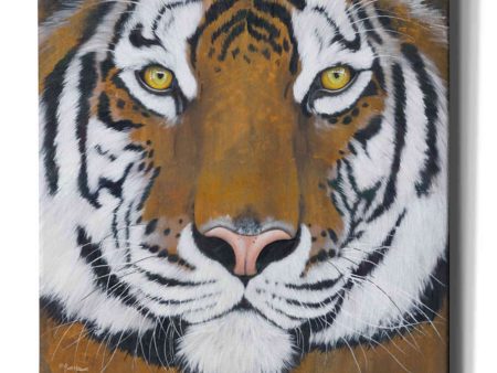 Tiger Gaze  by Britt Hallowell, Canvas Wall Art For Discount