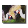 Two Cranes  by Bluebird Barn, Canvas Wall Art Cheap