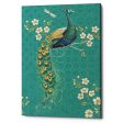 Ornate Peacock IXD  by Daphne Brissonet, Canvas Wall Art on Sale