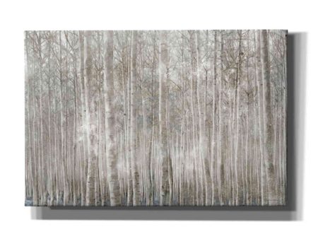 Birch Trees  by Bluebird Barn, Canvas Wall Art Fashion