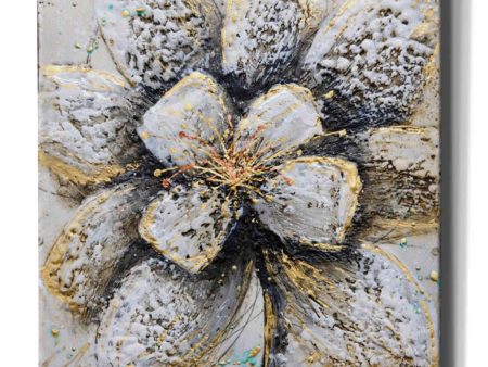 Explosion of Petals  by Britt Hallowell, Canvas Wall Art Sale