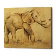 Global Elephant Light Crop  by Cheri Blum, Canvas Wall Art Online Sale