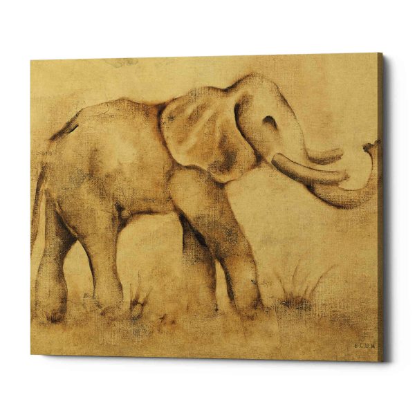 Global Elephant Light Crop  by Cheri Blum, Canvas Wall Art Online Sale