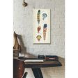 Ornithology III Panel  by Daphne Brissonet, Canvas Wall Art Hot on Sale