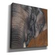 The Gentlest Giant  by Britt Hallowell, Canvas Wall Art Discount