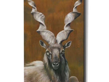 Mighty Markhor  by Britt Hallowell, Canvas Wall Art Cheap