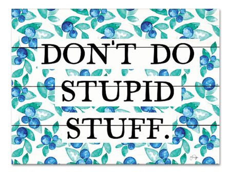 YND273PAL - Don t Do Stupid Stuff - 16x12 For Sale