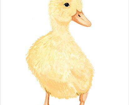 RN531 - Adorable Fluffy Duckling - 12x16 Online Hot Sale