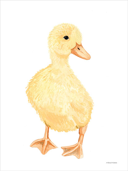 RN531 - Adorable Fluffy Duckling - 12x16 Online Hot Sale