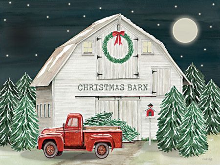 CIN4008 - Starry Night Christmas Barn - 16x12 Sale