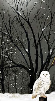 BJ1297 - Snowy Owl - 6x18 Hot on Sale