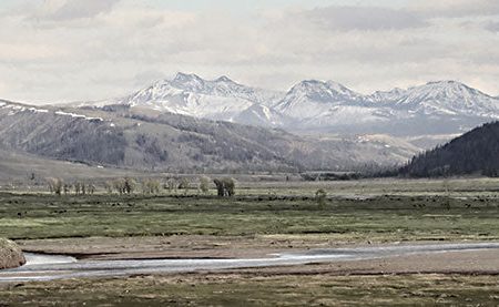 LD2536 - Lamar Valley - 18x9 For Discount