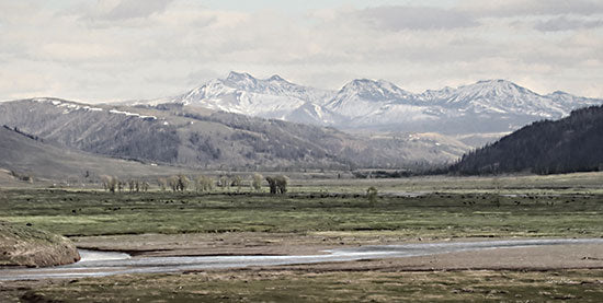 LD2536 - Lamar Valley - 18x9 For Discount