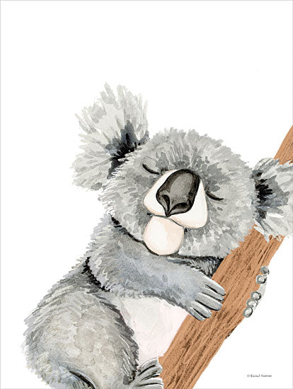 RN533 - Cuddles the Koala - 12x16 Discount