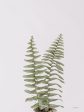 RIG160 - Boho Fern - 12x16 For Discount