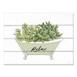 CIN3603PAL - Succulent Tub - 16x12 For Discount