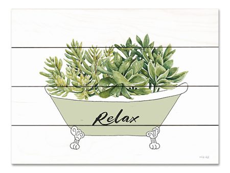 CIN3603PAL - Succulent Tub - 16x12 For Discount