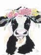 JM556 - Spring Calf - 12x16 Online now