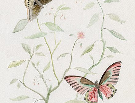 KAM772 - Butterfly Tree - 12x16 Hot on Sale