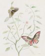 KAM772 - Butterfly Tree - 12x16 Hot on Sale